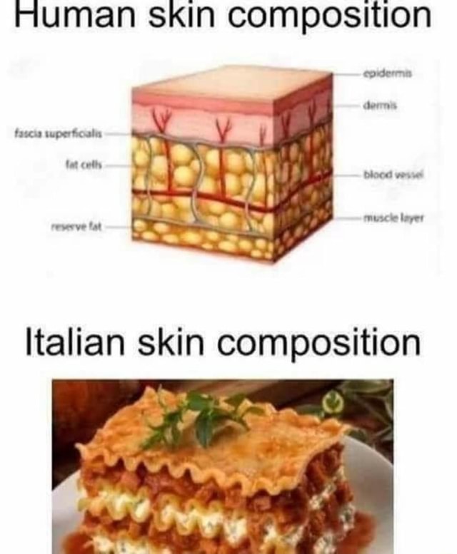 Human skin composition ltallan skin composition iFunny