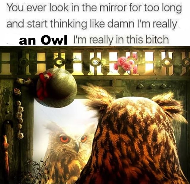 You ever look in the mirror for too long and start thinking like damn I