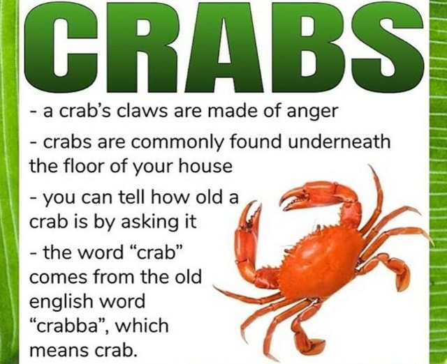 A crab's claws are made of anger crabs are commonly found underneath ...