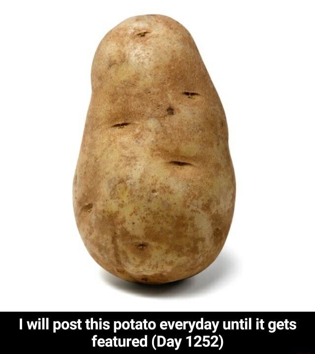 I will post this potato everyday until it gets featured (Day 1252) - I ...