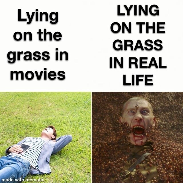 Lying LYING ON THE GRASS grass in IN REAL movies LIFE teat - iFunny