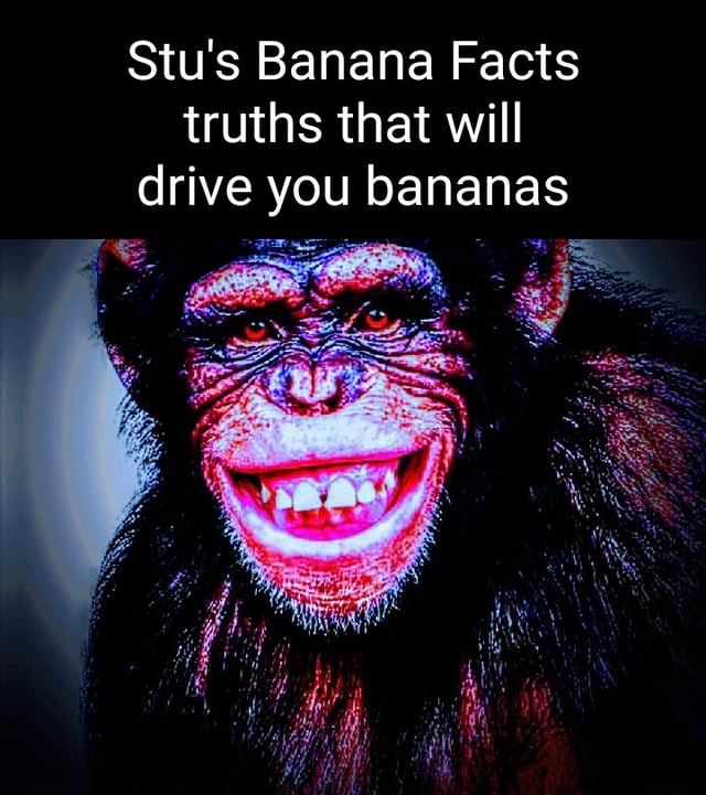 Stu's Banana Facts truths that will drive you bananas AS iFunny