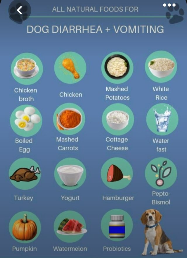 ALL NATURAL FOODS FOR DOG DIARRHEA VOMITING Chicken Mashed White all-natural-foods-for-dog-diarrhea-vomiting-chicken-mashed-white