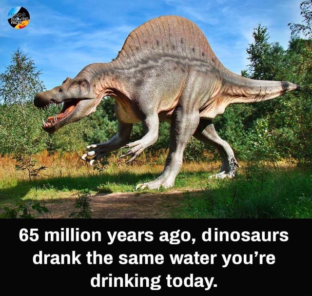 65 million years ago, dinosaurs drank the same water you're drinking ...