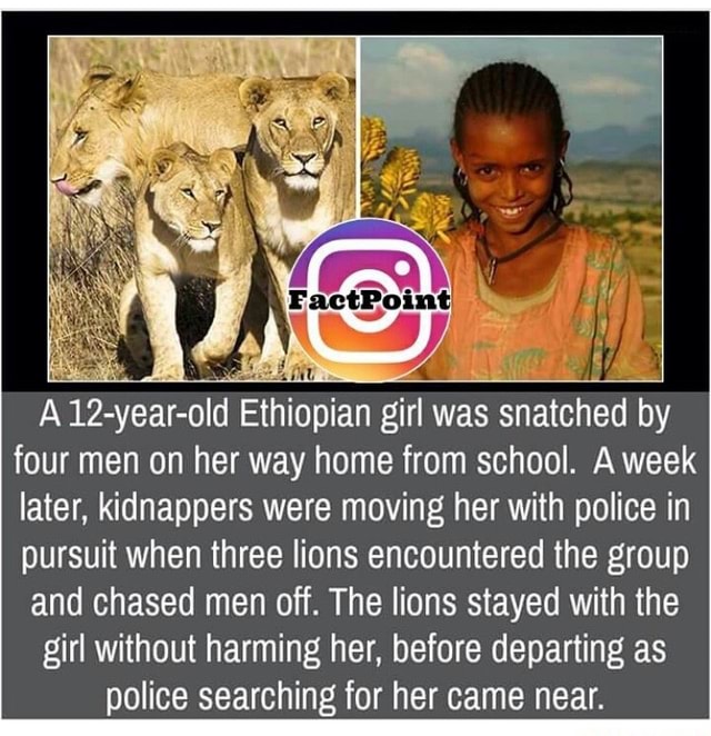 ', A 12-year-old Ethiopian girl was snatched by four men on her way ...