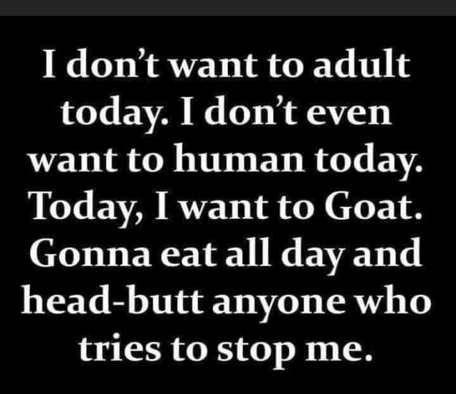 I Don T Want To Adult Today I Don T Even Want To Human Today Today I Want To Goat Gonna Eat All Day And Head Butt Anyone Who Tries To Stop Me America S