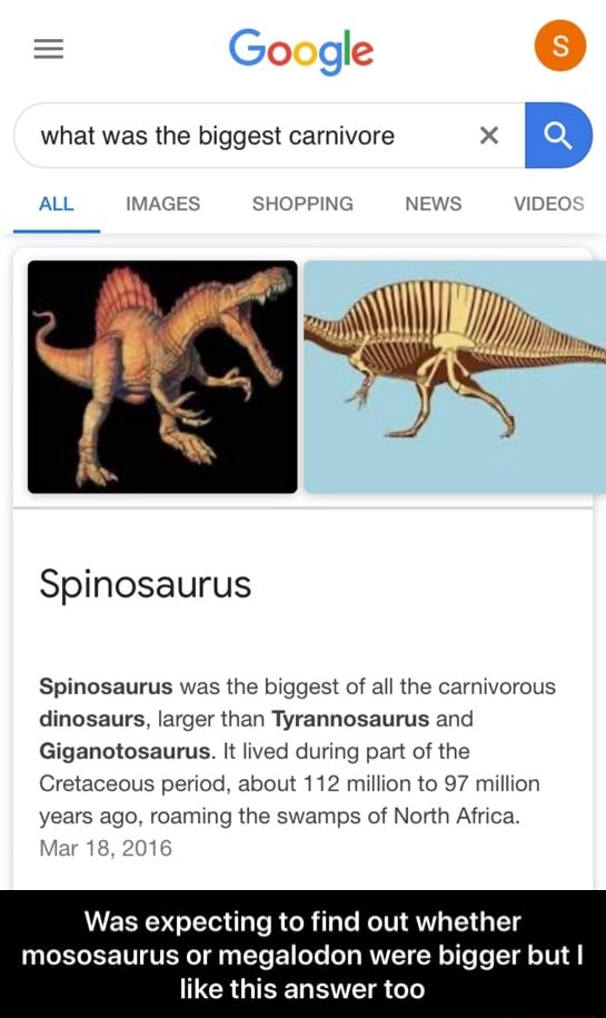 What was the biggest carnivore AS ALL IMAGES SHOPPING NEWS VIDEO