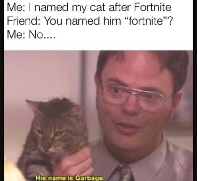 I Named My Cat After Fortnite Me I Named My Cat After Fortnite Friend You Named Him Fortnite Me No