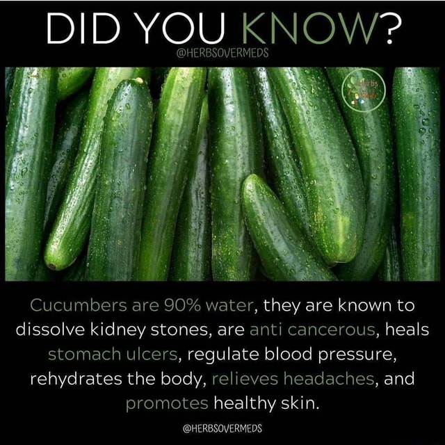 DID YOU KNOW'? HERBSOVERMEDS Cucumbers are 90 water, they are known to dissolve kidney stones