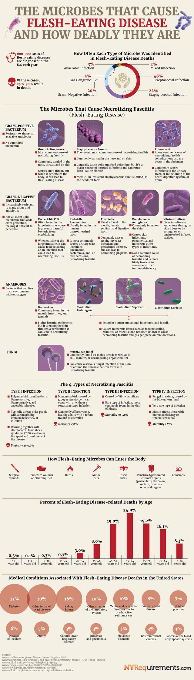 Guide To Flesh Eating Disease FLESH EATING DISEASE THE MICROBES THAT