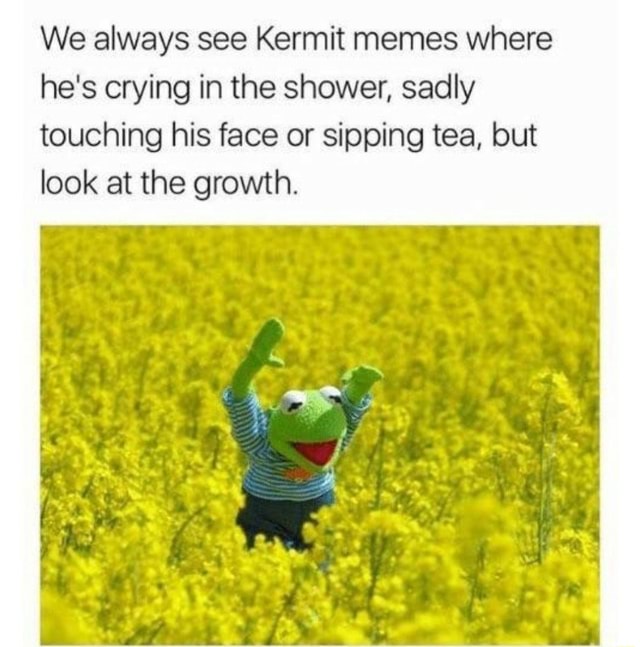 We always see Kermit memes where he's crying in the shower, sadly ...