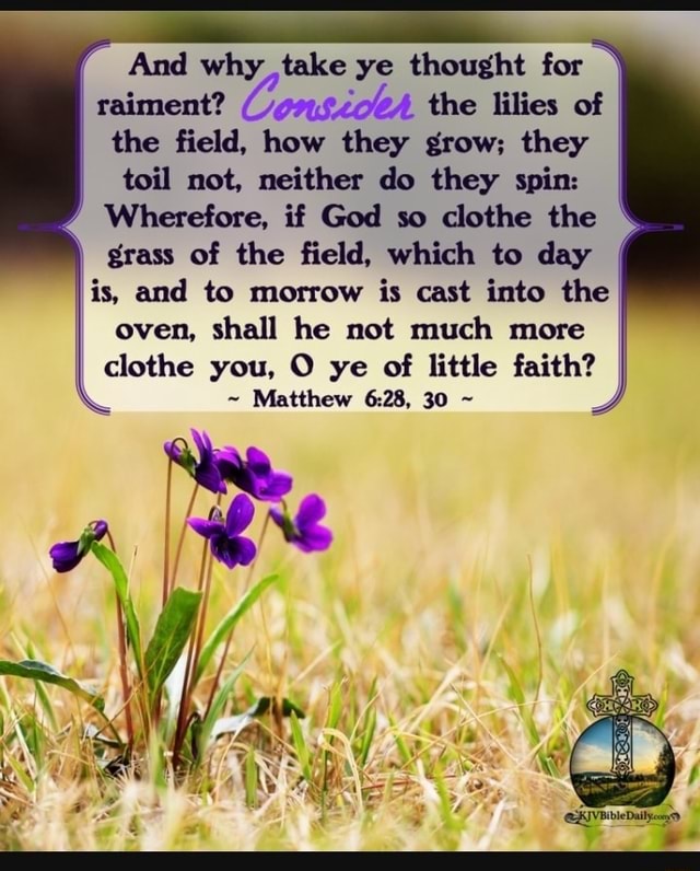 And why ,take ye thought for raiment? the lilies of the field, how they