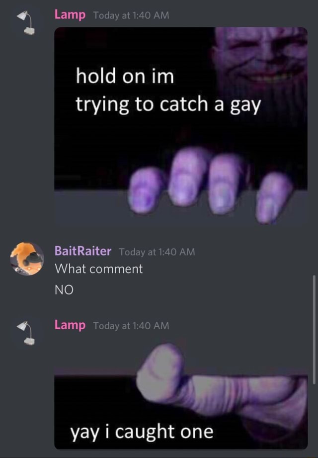 i caught a gay meme discord top