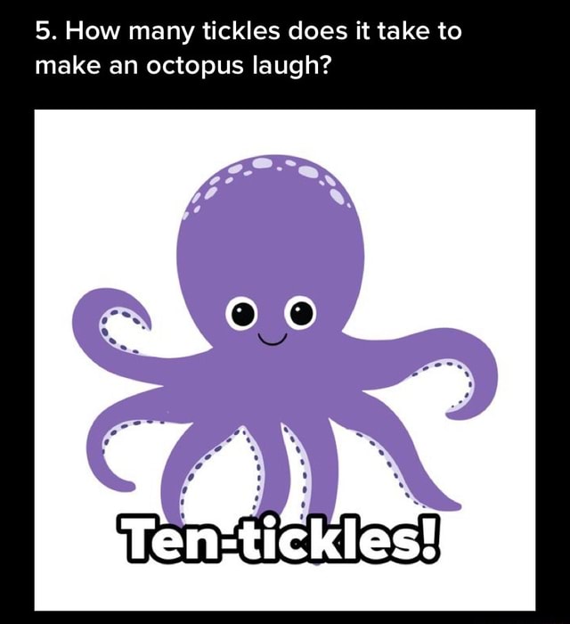 5 How Many Tickles Does It Take To Make An Octopus Laugh Ifunny