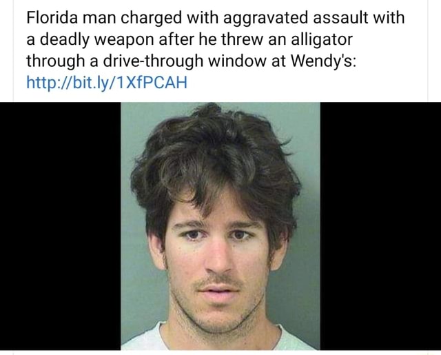 Florida man charged with aggravated assault with a deadly weapon after ...