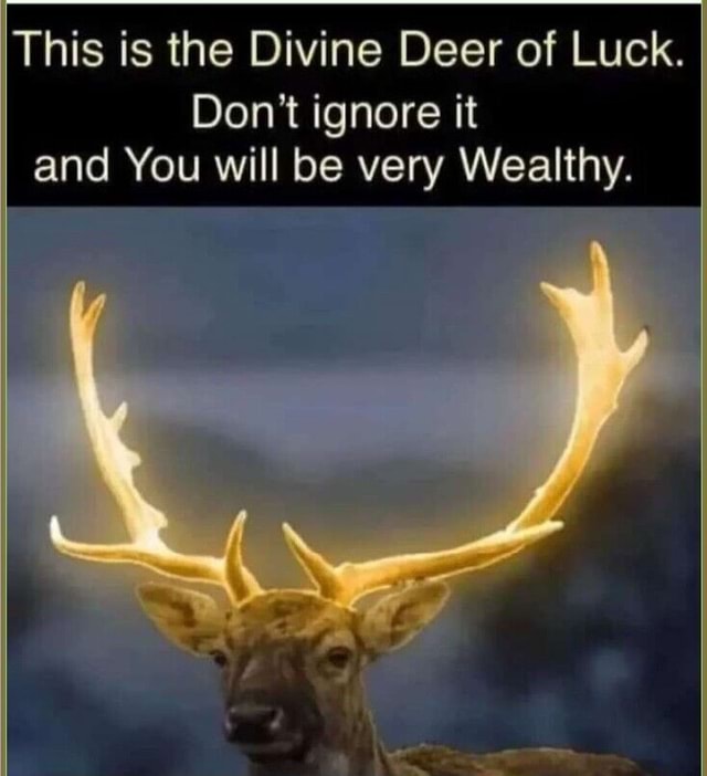 This is the Divine Deer of Luck. Don't ignore it and You will be very