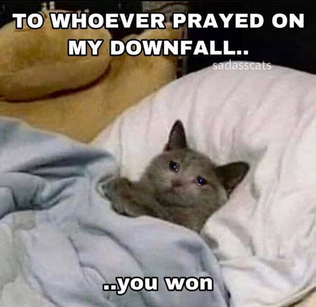 To Whoever Prayed On My Downfall You Won Ifunny