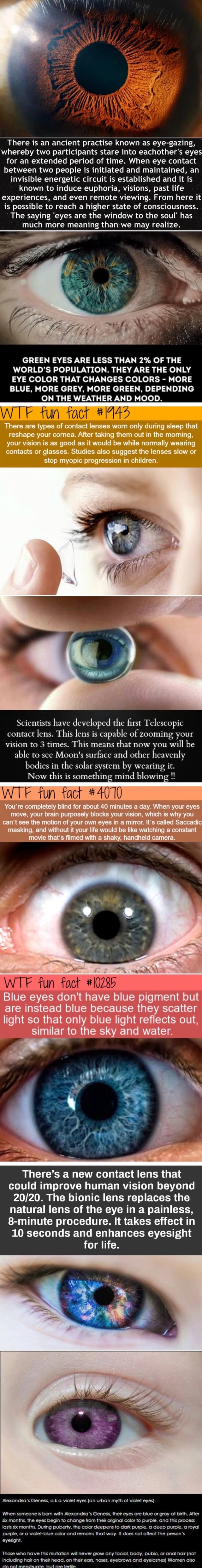 eye gazing experiment