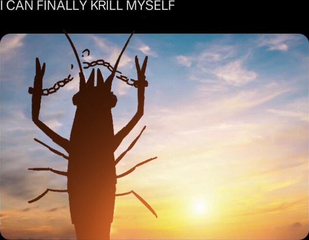 I CAN FINALLY KRILL MYSELF AK - iFunny