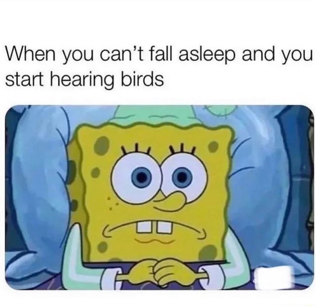 When you can't fall asleep and you start hearing birds I iFunny