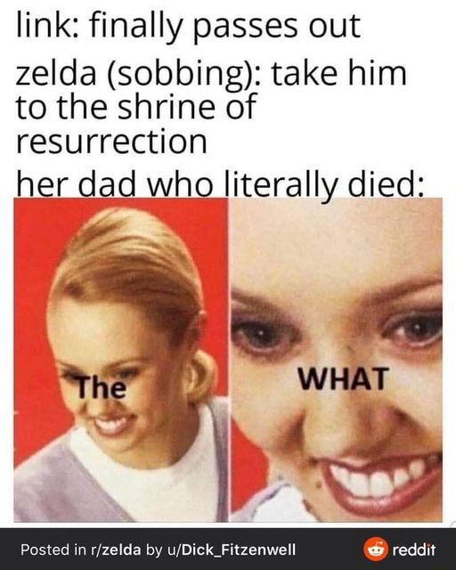 Just another BotW meme. - link: finally passes out zelda (sobbing ...