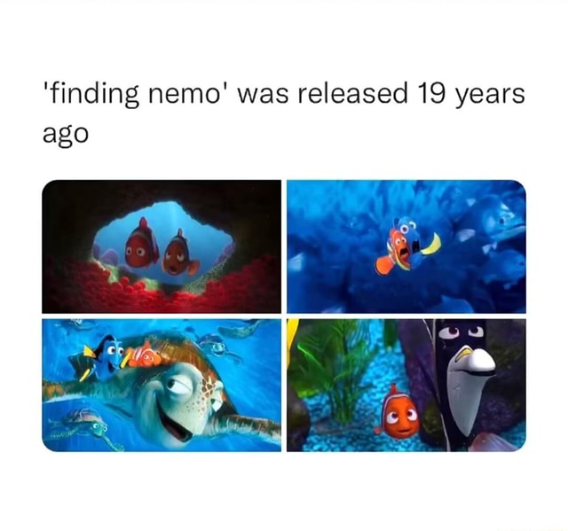 Finding Nemo First Day