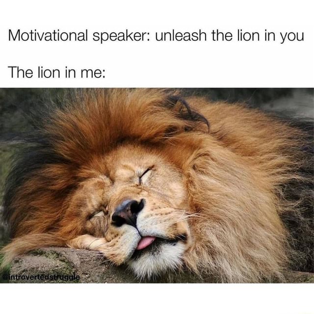 Motivational speaker: unleash the lion in you The lion in me: - )