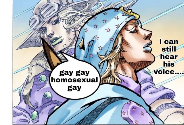gay gay gay homosexual gay meme