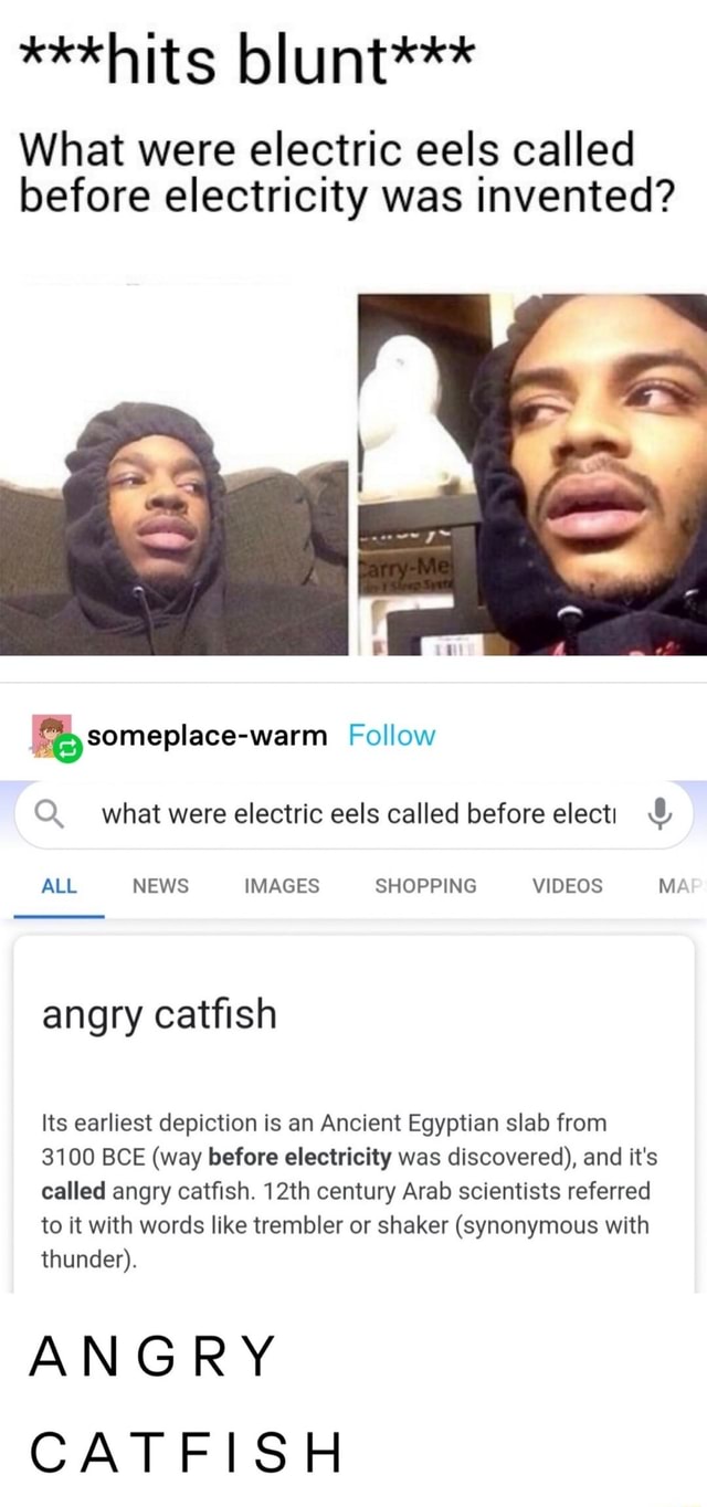 hits-blunt-what-were-electric-eels-called-before-electricity-was-invented-someplace-warm