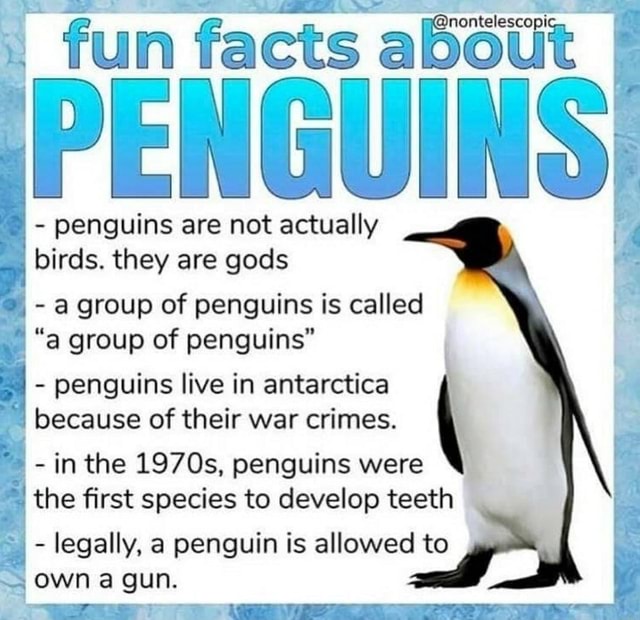 Fun facts about PENGUINS penguins are not actually birds. they are