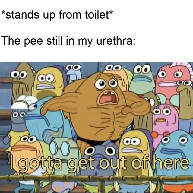 *stands up from toilet* The pee still in my urethra: - iFunny