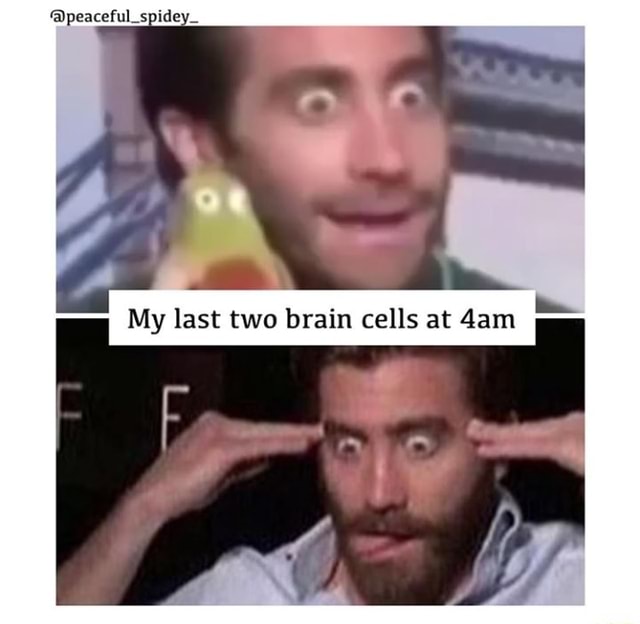 My last two brain cells at 4am - iFunny
