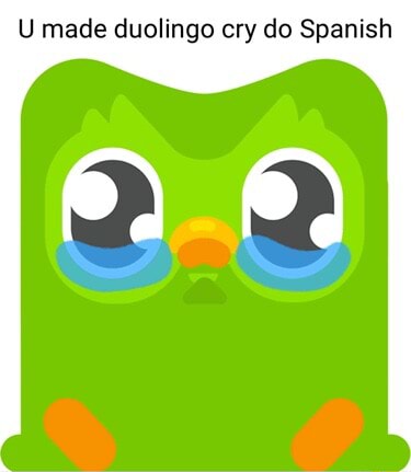 U made duolingo cry do Spanish - iFunny