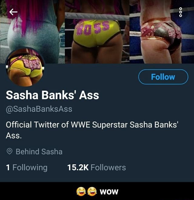 Banks Ass Sasha WWE Top 15