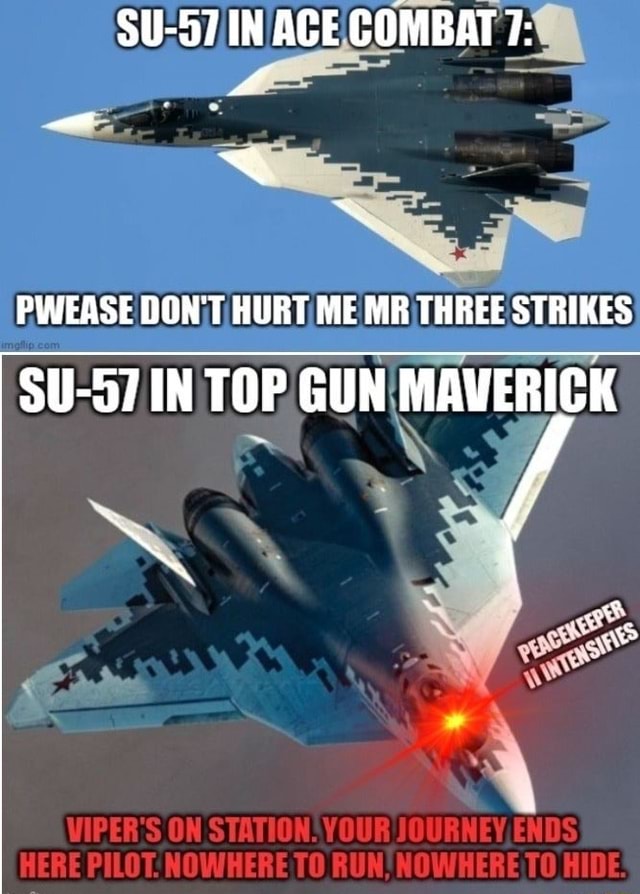 SU-57 IN ACE COMBAT 7: PWEASE DON'T HURT ME MR THREE STRIKES SU-57 IN ...