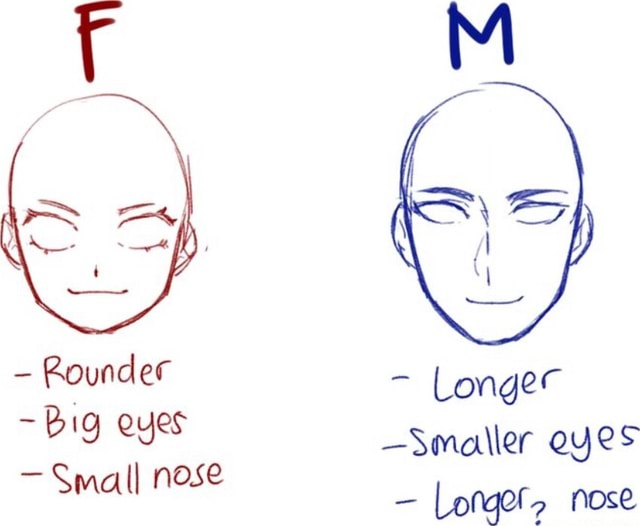 Rounder - Big eyes Longer -Smaller eyes - Small nose Longer, nose - iFunny