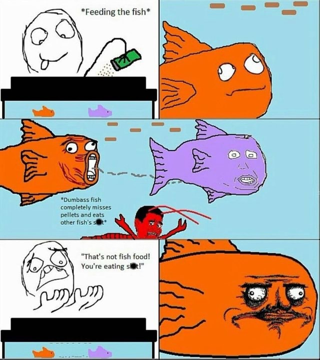 *Feeding the fish* *Dumbass fish completely misses pellets and eats