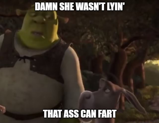 Damn She Wasnt Lyin That Ass Can Fart