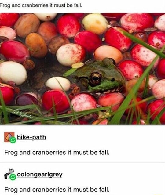 Log and cranbernes ll must be lall. Frog and cranberries it must be fall. Frog and cranberries