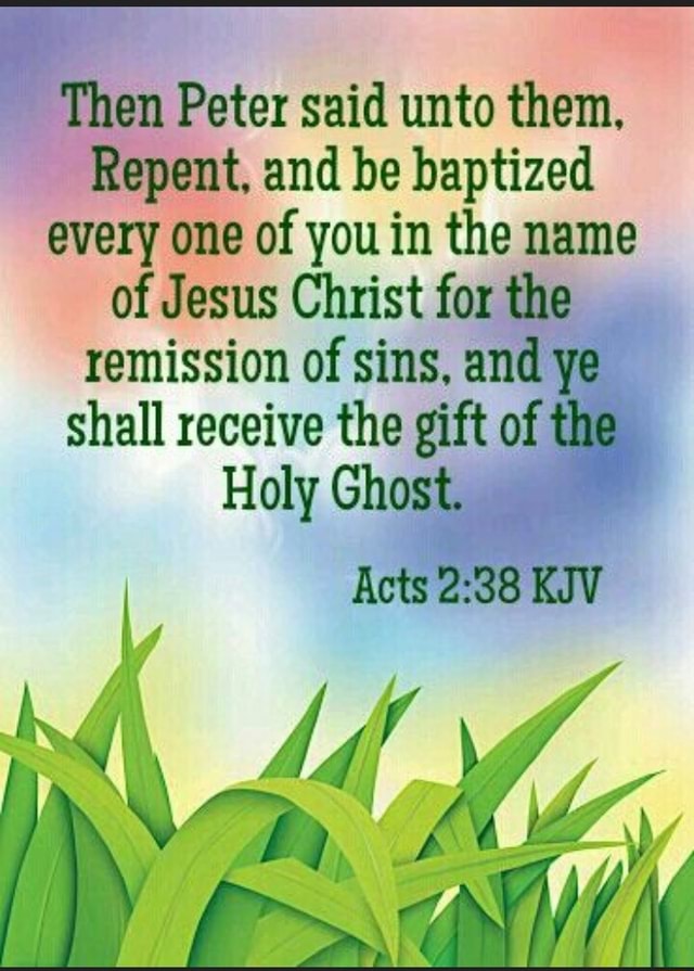 Then Peter said unto them, Repent, and be baptized every one of you in ...