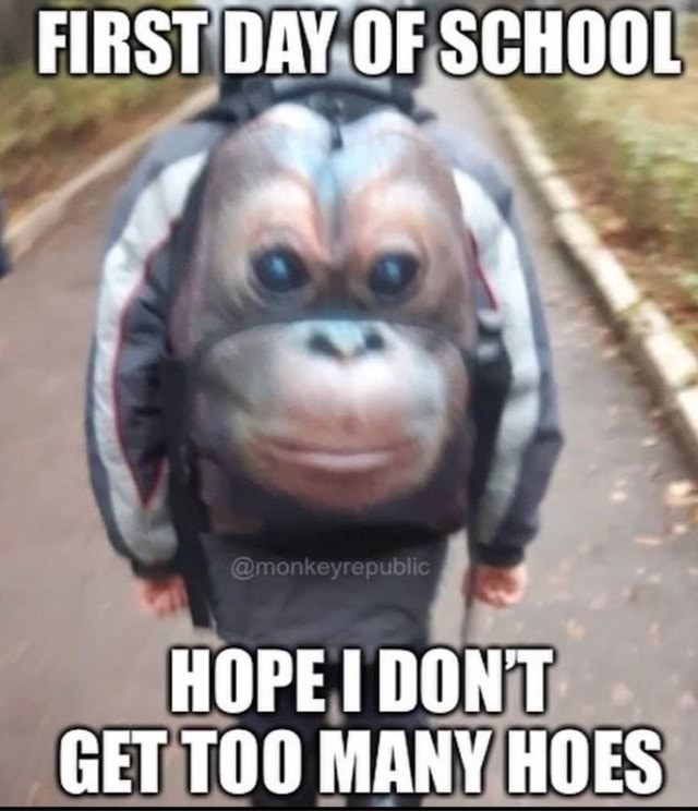 FIRST DAY OF SCHOOL OPE GET TOO MANY HOES iFunny
