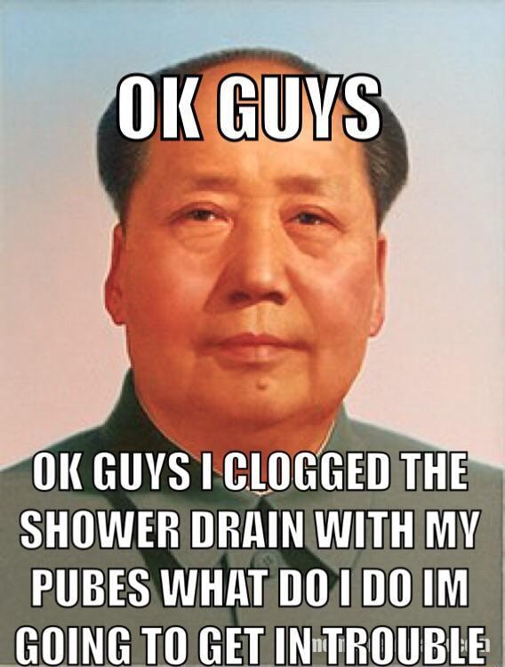 OK GUYS CLOGGED THE SHOWER DRAIN WITH MY, PUBES WHAT DO/!DO IM GOING TO GETIN'TROUBLE iFunny