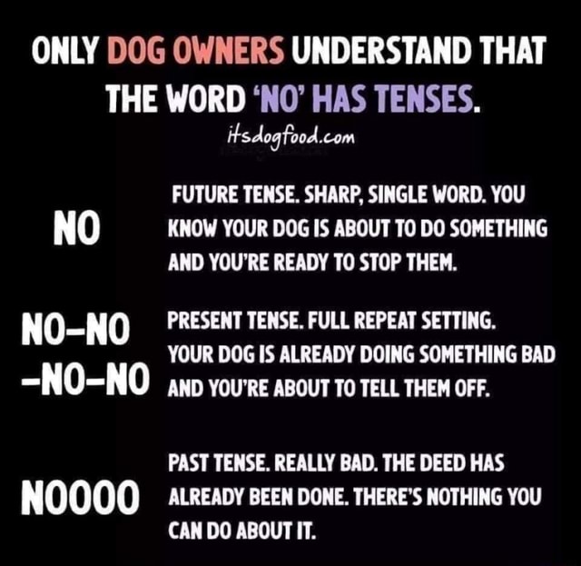 ONLY DOG OWNERS UNDERSTAND THAT THE WORD 'NO' HAS TENSES. FUTURE TENSE. SHARP