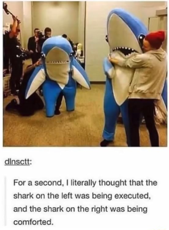 For a second. ! literally thought that the shark on the left was being ...