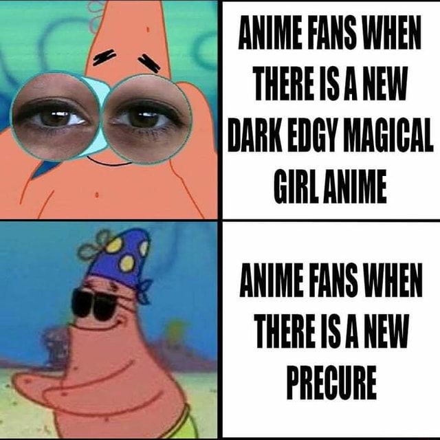 ANIME FANS WHEN THERE ANEW DARK EDGY MAGICAL GIRL ANIME ANIME FANS WHEN  THERE IS A NEW PRECURE 