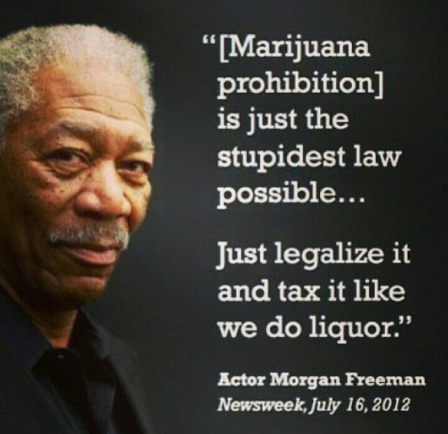 marijuana-prohibition-is-just-the-stupidest-law-possible-just