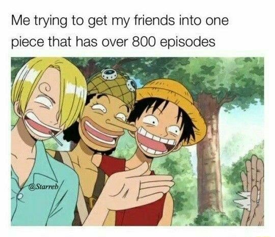 Me Trying To Get My Friends Into One Piece That Has Over 800 Episodes 