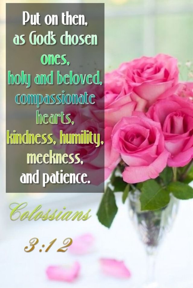Put on then, as Gods chosen ones, holy and beloved, compassionate I