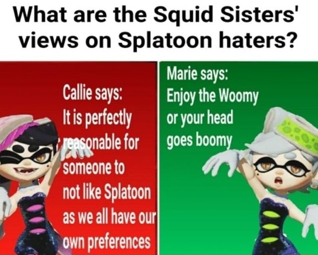 What are the Squid Sisters' views on Splatoon haters? Marie says ...