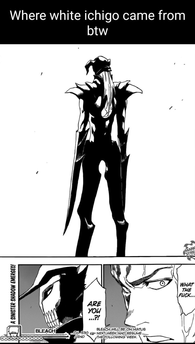 Where white ichigo came from Ss BLEACH WILL BE HIATUS I FOLLOWING week